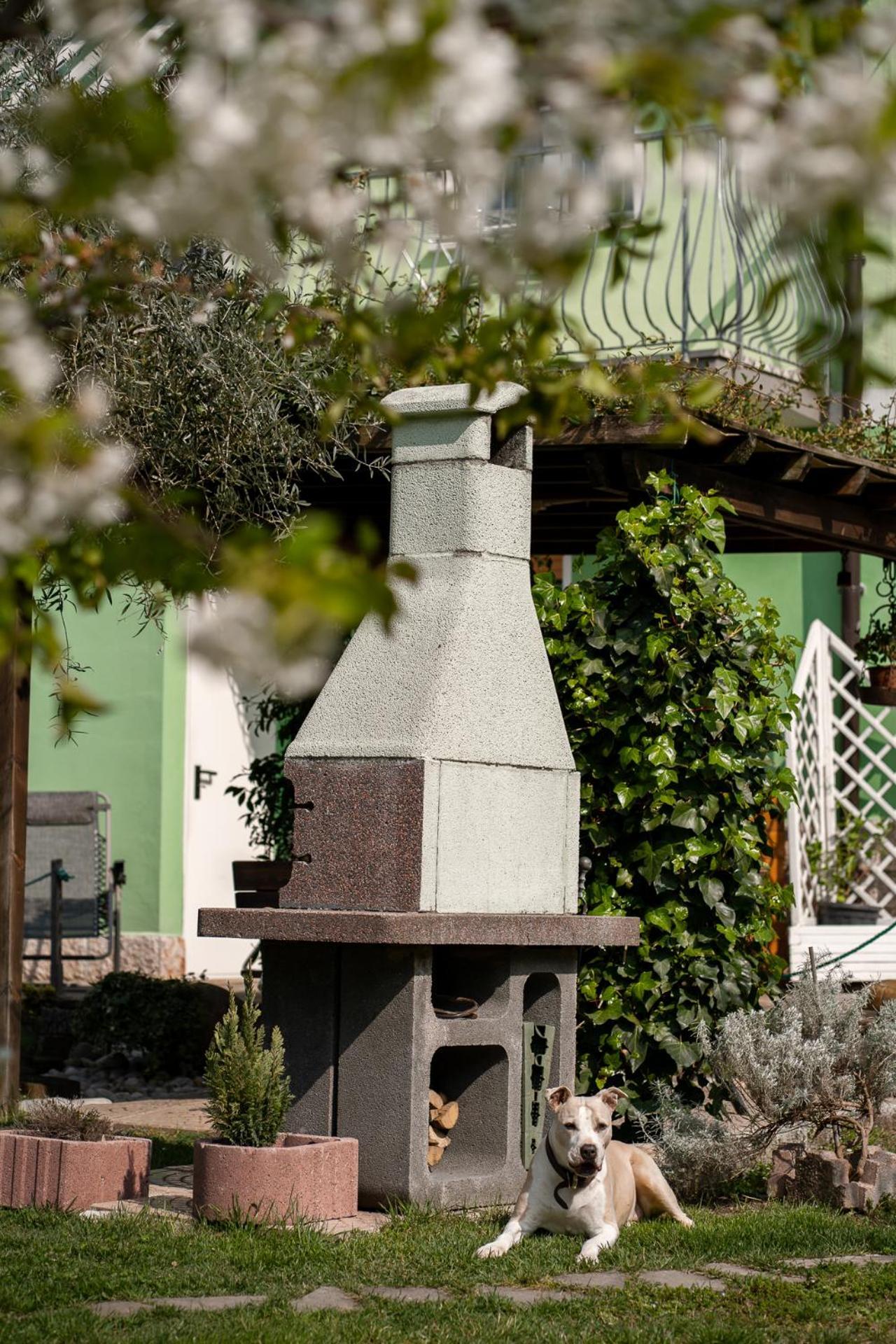 La Casa Nel Verde Arco Εξωτερικό φωτογραφία